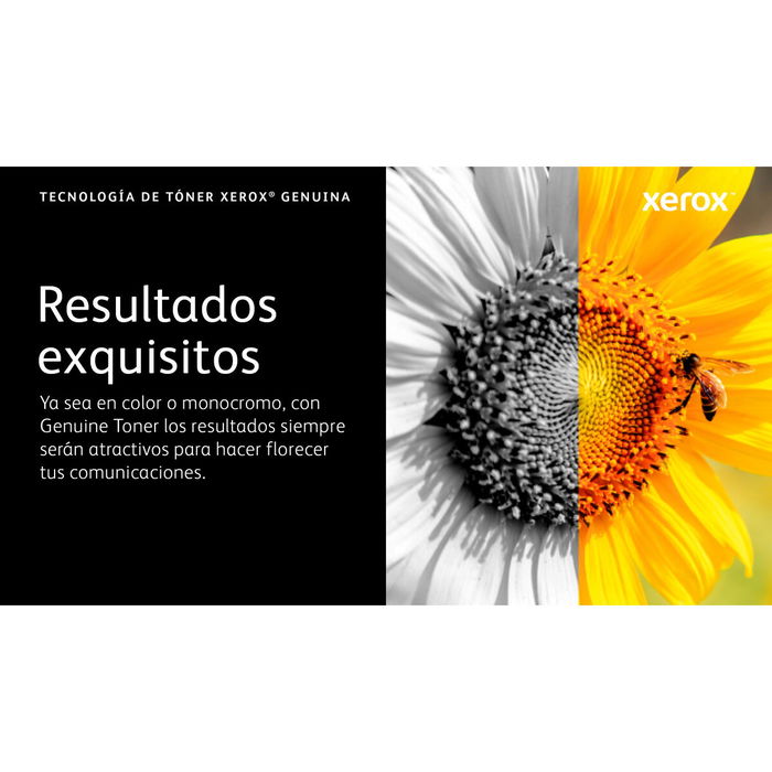 Toner original Xerox 006R04624 Noir