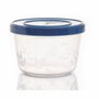 Thermobaby Lot de 5 boîtes de conservation 250 ml