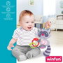 Peluche Hochet Winfun Raton laveur 14,5 x 20 x 9,5 cm (6 Unités)