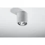 Lampe de plafond Cullo Gris