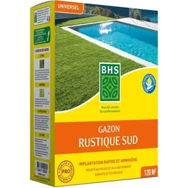 BHS Gazon Rustique Sud 1kg - Semences de gazon pour 40 m² - Fétuque élevée résistante à la sécheresse, Ray-Grass anglais