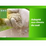 BHS Gazon Rustique Sud 1kg