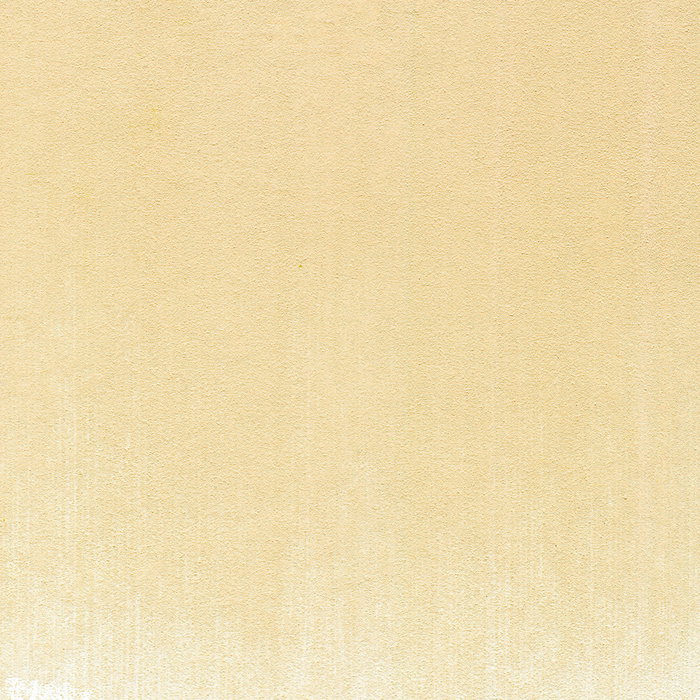 Panpastel 740.8 Tierra De Siena Tostada