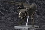 Metal Gear Solid V figurine Plastic Model Kit 1/100 Metal Gear Sahelanthropus Black Ver. 36 cm