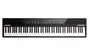 ALESIS Concert