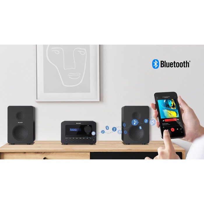 Sharp XL-B520D(BK) Micro système Hi-Fi Noir Sharp XL-B520D(BK) Micro système Hi-Fi Noir