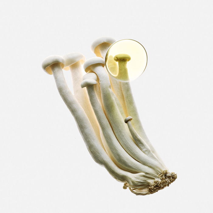 Loewe ÉLIXIR DE TERRE EDP Vapo 100 ml Eau de Parfum Femme