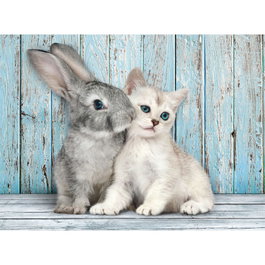 CLEMENTONI Puzzle 500 Pièces Chat et Lapin - 49 x 36 cm