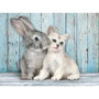 CLEMENTONI Puzzle 500 Pièces Chat et Lapin - 49 x 36 cm