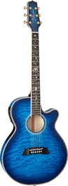 Takamine TSP100-DBS