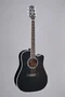 Takamine EF341SC