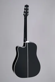 Takamine EF341SC