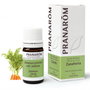 PRANAROM Huile essentielle de Carotte 5 ml
