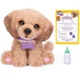 Little Live Pets Mini Puppy - Chiot interactif avec sons réalistes