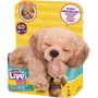 Little Live Pets Mini Puppy - Chiot interactif avec sons réalistes