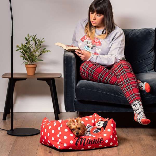 Cerdá - Mordedor Jouet à Mâcher pour Chien Minnie - 10.0 x 5.0 x 17.0 cm - Recommandé à partir de 3 ans - Rouge