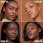 Maybelline Lifter Plump & Glow n° 110