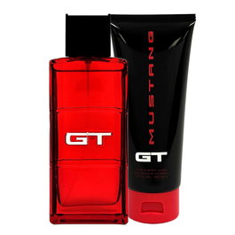 Ford Coffret Mustang GT : Eau de Toilette 100 ml + Gel Douche 150 ml pour Homme