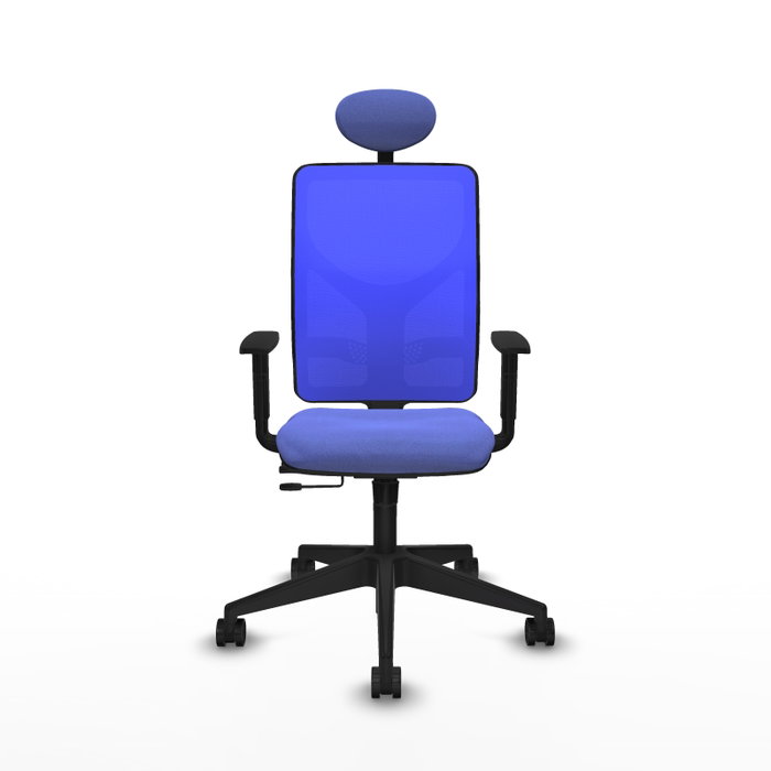 Piqueras Y Crespo Motilla Chaise de Bureau, Bleu clair/Bleu, Mécanisme Sincro/Traslack, Bras 1D, Appui-tête fixe Piqueras Y Crespo Motilla Chaise de Bureau, Bleu clair/Bleu, Mécanisme Sincro/Traslack, Bras 1D, Appui-tête fixe