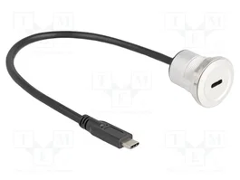 DELOCK Câble USB 2.0 USB-C vers USB-C 0,3m noir