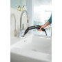 Kärcher Steam Turbo Brush