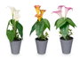 Ibergarden Pot Conique pour Glaïeuls, Assortiment 20 x 35 x 15 cm, Plastique et Ciment, Couleurs Aléatoires (Set de 12)