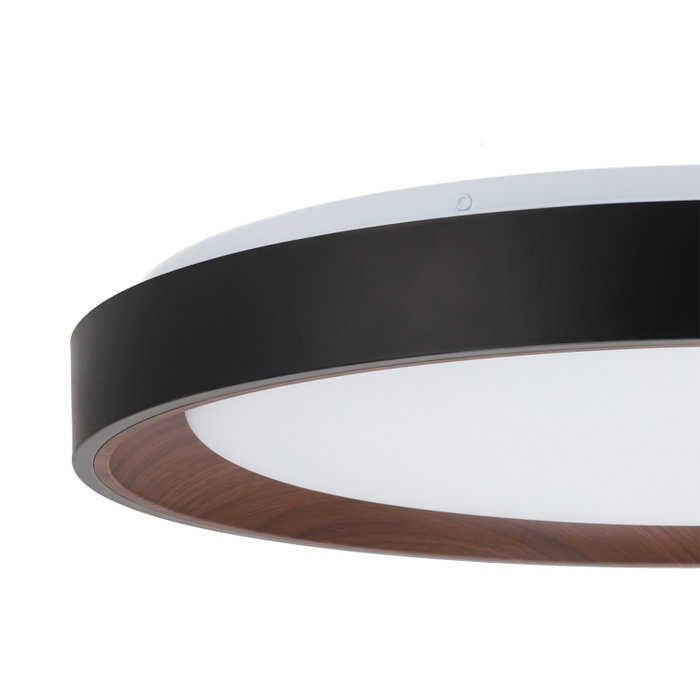 Plafonnier LED décoratif circulaire CCT 40 W, 3 000-6 000 K, noir