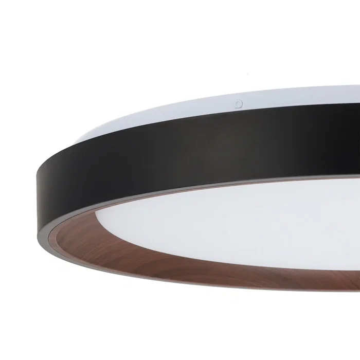 Plafonnier LED Décoratif 40W CCT (3000K-6000K) avec Télécommande, Finition Noire