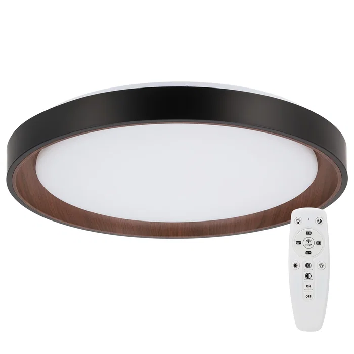 Plafonnier LED Décoratif 40W CCT (3000K-6000K) avec Télécommande, Finition Noire Plafonnier LED Décoratif 40W CCT (3000K-6000K) avec Télécommande, Finition Noire