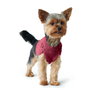 Hunter Pull pour chien Malmö Bordeaux