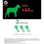 Frontline Combo Anti-Puces et Anti-Tiques pour Chien XL 40-60 kg - Traitement Préventif et Destruction des Larves - Lot de 3 Pipettes