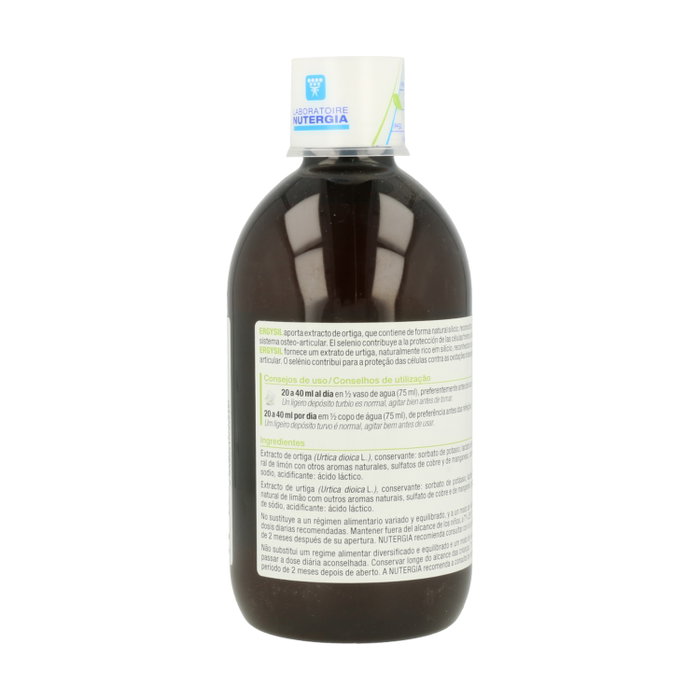 NUTERGIA ERGYSIL solution 500 ml