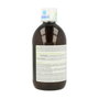 NUTERGIA ERGYSIL solution 500 ml