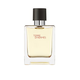 Hermès Terre d'Hermès Eau de Toilette Vaporisateur 50 ml