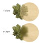 SATURNIA Malla d'ombrage Beige Rouleau 1,0 m x 50 m