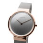 Montre Femme Bering 14531-060 (Ø 31 mm)