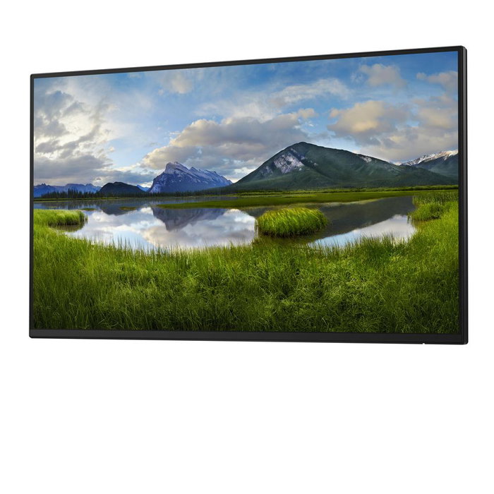 Dell P2425H Moniteur 24 pouces Full HD IPS 100Hz Noir
