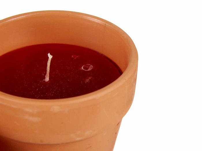 Ibergarden Bougie en Pot Terre Cuite Géranium Rouge Naturelle Anti-Mouches 8x8x8 cm (Set de 48)
