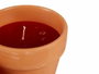 Ibergarden Bougie en Pot Terre Cuite Géranium Rouge Naturelle Anti-Mouches 8x8x8 cm (Set de 48)