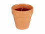 Ibergarden Bougie en Pot Terre Cuite Géranium Rouge Naturelle Anti-Mouches 8x8x8 cm (Set de 48)