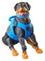 Hasbro G.I. Joe Classified Series pack de 3 figurines Mad Marauders Footloose, Mutt & Junkyard 15 cm