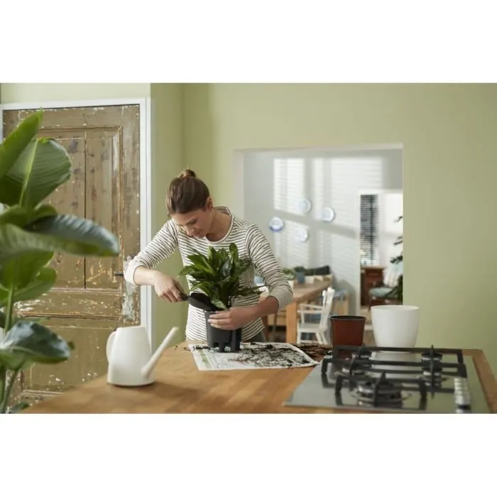 Elho Pot de fleurs auto-arrosant Self-watering Insert 21 Living, 4 litres, diametre 20.7 x hauteur 19.5 cm, Noir pour plantes d'interieur