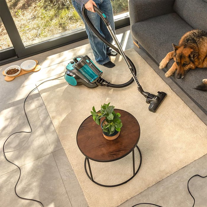 Aspirateur Cecotec Conga Rockstar Cyclonic Powerbag 900W 2L Noir/Gris filtre animaux