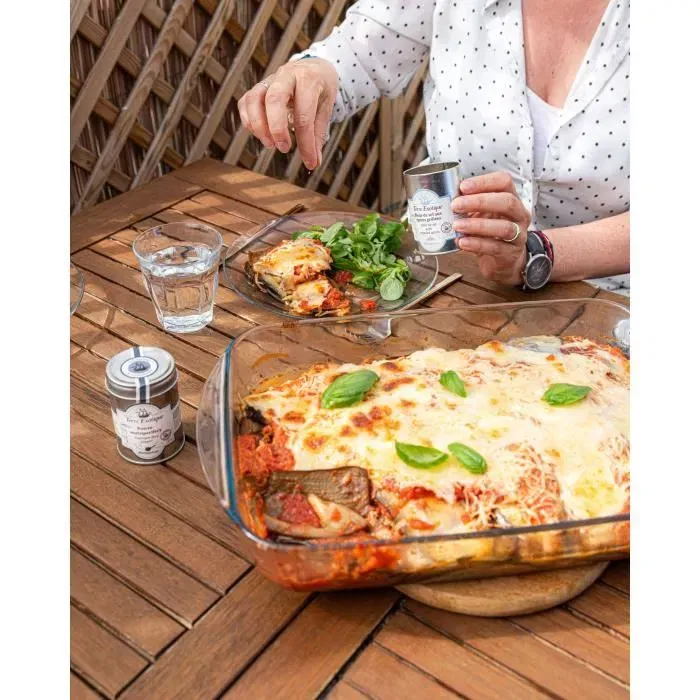 Pyrex 1450033 Plat à lasagnes rectangulaire en verre borosilicate - Résistant -40°C à +300°C et choc thermique de 200°C - 40 x 27 cm
