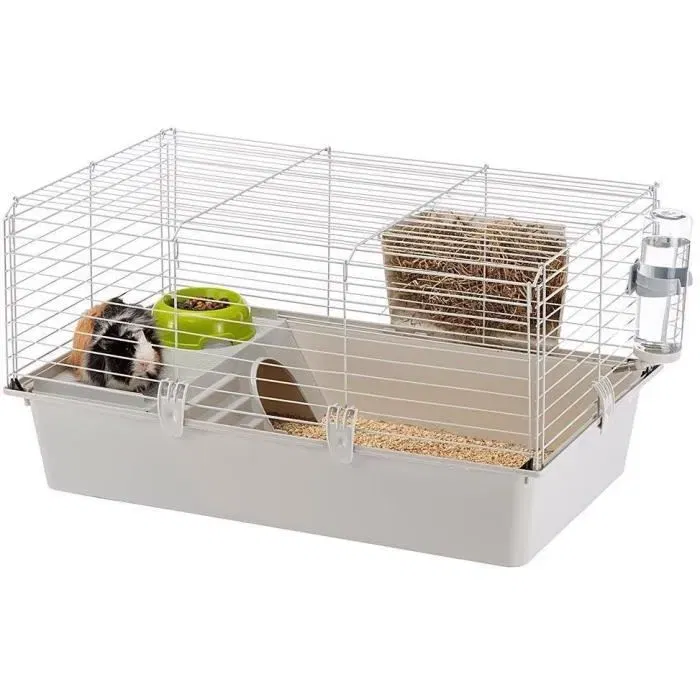 Ferplast Cavie 80X1 Cage pour cochons d'Inde et rongeurs 77 x 48 x 42 cm avec accessoires, gris clair