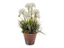Ibergarden Fleur Artificielle avec Tiges Pot Ciment Assortis 24x43x24 cm (Set de 8)