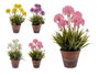 Ibergarden Fleur Artificielle avec Tiges Pot Ciment Assortis 24x43x24 cm (Set de 8)