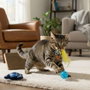 Cerdá Set de jouet pour chien Stitch 15.5 x 23.5 x 6 cm bleu dès 36 mois