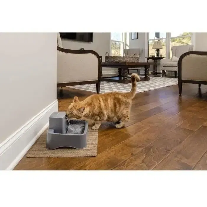 Petsafe - Fontaine à Eau Drinkwell pour Chat et Petit Chien 1.8 L avec Filtration Double, Débit Réglable, Sans BPA, Facile à Nettoyer