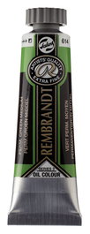 Rembrandt Peinture à l'Huile Vert Permanent Moyen 614 - 15 ml